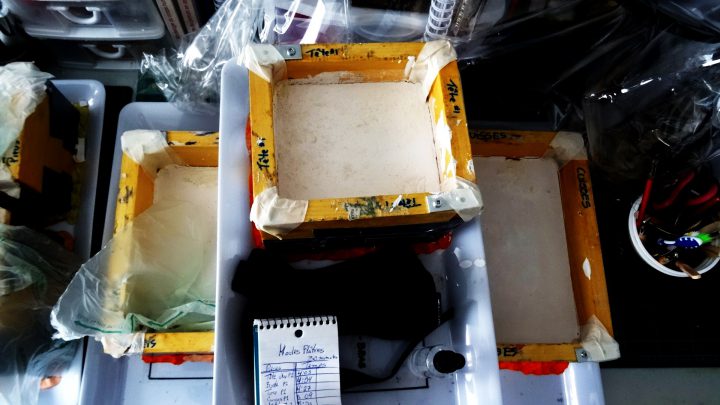 AMG DOLL-Plaster mold making (12)